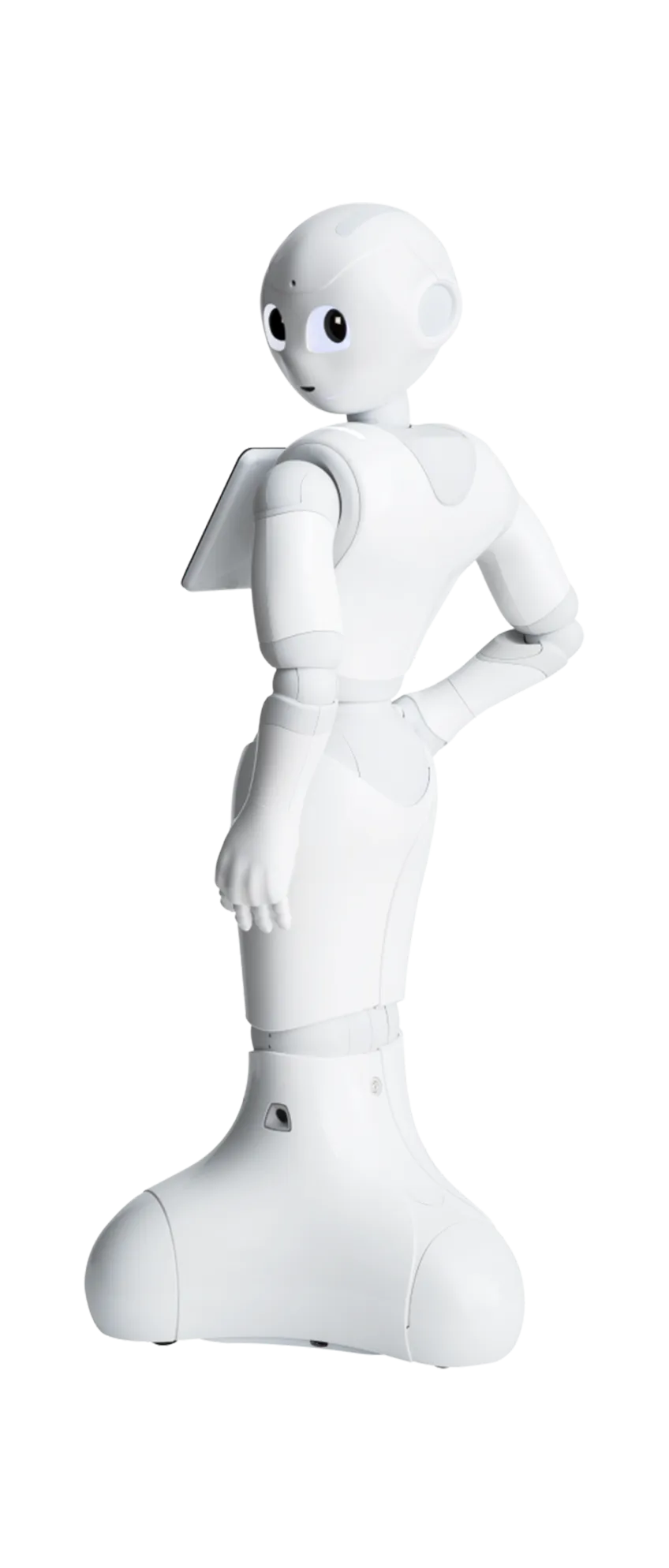 PEPPER robot - From behind